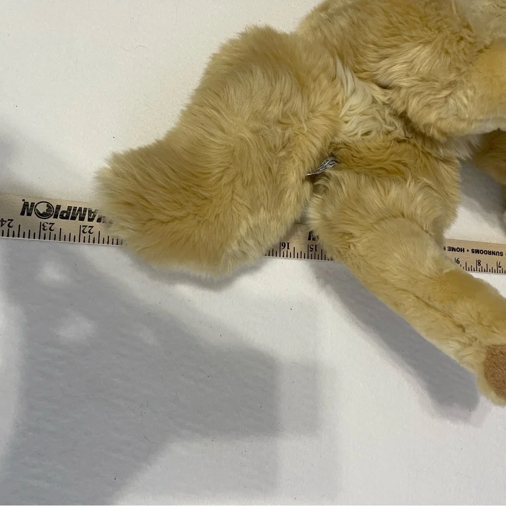 Vintage Steiff Golden Retriever for the American Kennel Association. - Picture 7 of 7